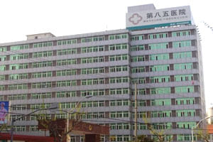 中国人民解放军第八五医院